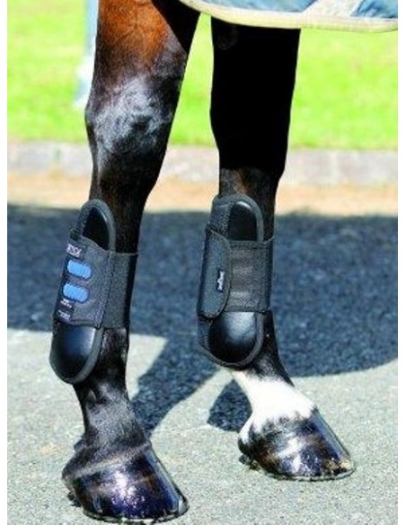 Protections antérieurs Front Tendon Dalmar