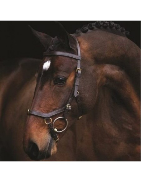 Bridon Multibride Micklem Rambo