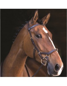 Bridon Multibride Micklem Rambo 2