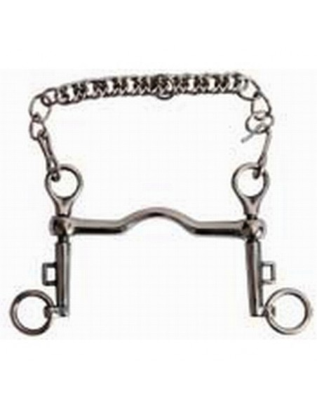 Mors saumur plein T de T