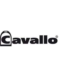 Ceinture Eireen Cavallo 2