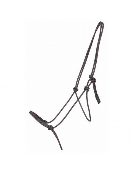 licol ethologique Michel Robert T de T