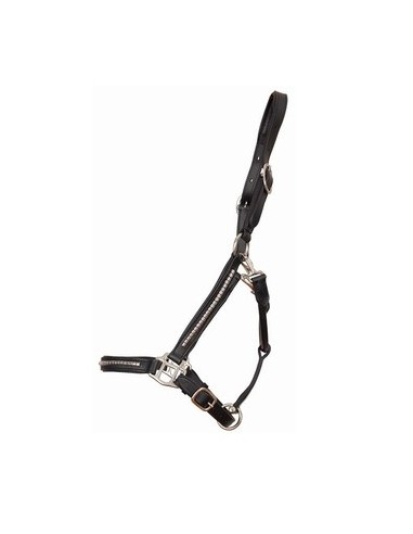 Licol et longe clincher T de T