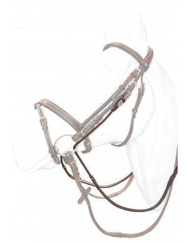 Rênes Releveur EVENTER Flags&Cup