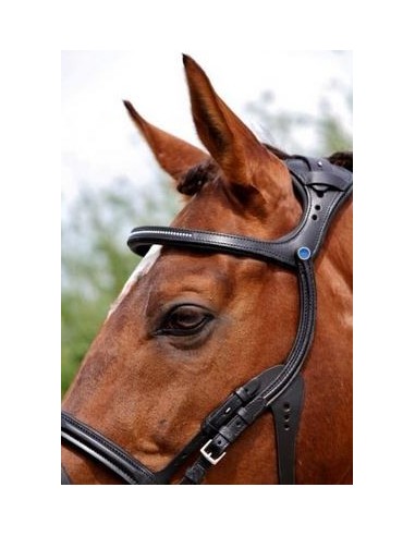 Bridon 2500 Freedom Stübben