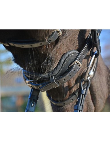 Bridon 2500 Freedom Stübben