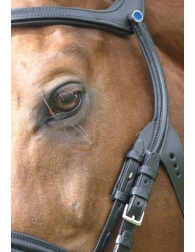 Bridon 2500 Freedom Stübben