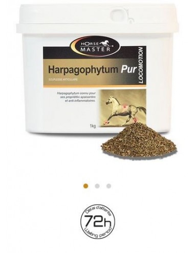HARPAGOPHYTUM PUR Horse Master - Articulations