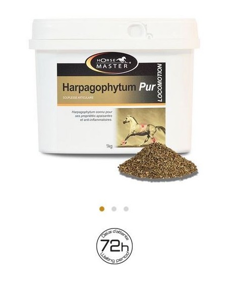HARPAGOPHYTUM PUR Horse Master - Articulations
