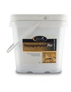 HARPAGOPHYTUM PUR Horse Master - Articulations 2