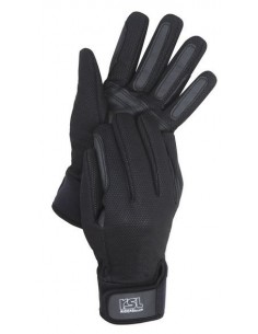 Gants d'hiver ISO RSL