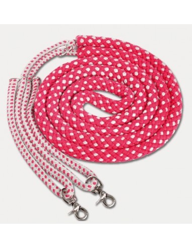 Enrênement pour Longer Waldhausen