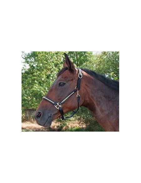 Licol et longe clincher T de T