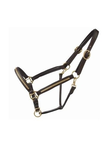 Licol et longe clincher T de T