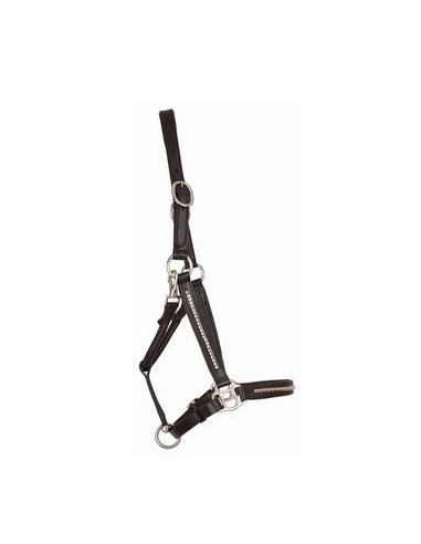 Licol et longe clincher T de T