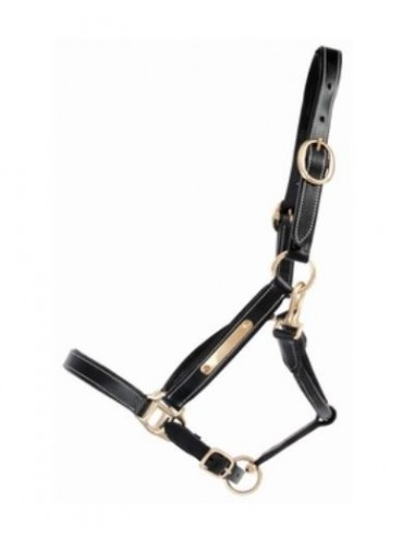 Licol cuir value line T de T