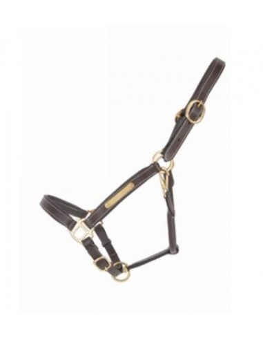 Licol cuir value line T de T