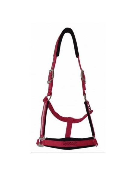 Licol MANHATTAN Esperado