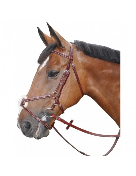 Bridon DENVER CROISE Lexington