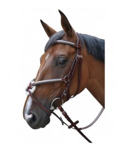 Bridon TUCSON CROISE Lexington