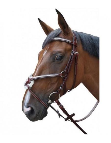 Bridon TUCSON CROISE Lexington