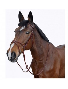 Bridon ATLANTA COMBINE Lexington