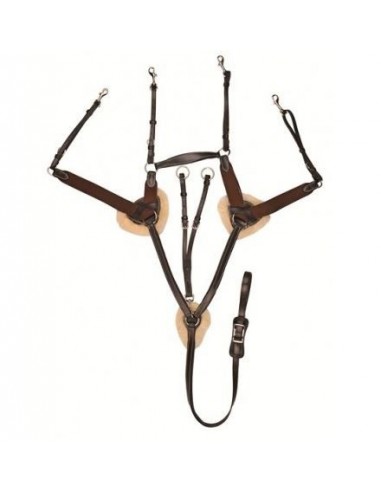 Collier de chasse 5 PTS