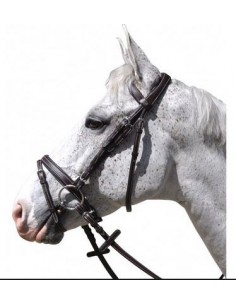 Bridon GÖTEBORG COMBINE Flags&Cup