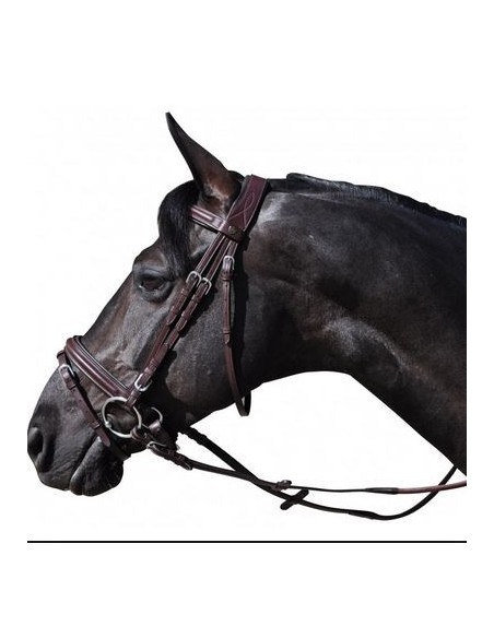 Bridon HICKSTEAD Flags&Cup