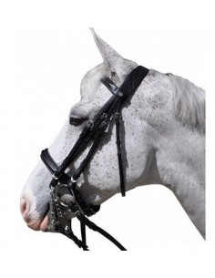 Bride HAGEN Flags&Cup