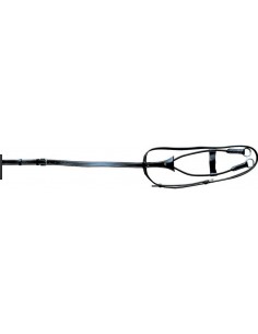 MARTINGALE ELASTIQUE Flags&Cup