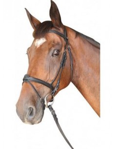 Bridon CABOURG Privilège Equitation