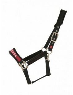 Licol KENTUCKY Esperado