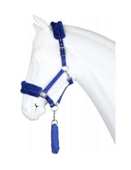 Licol ANGEL Horka