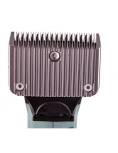 Tondeuse Chevaux STAR Lister 2