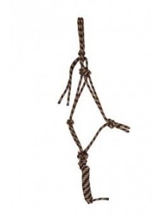 Licol ETHO+LONGE TdeT