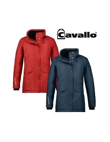 Blouson Dame HALINA Cavallo