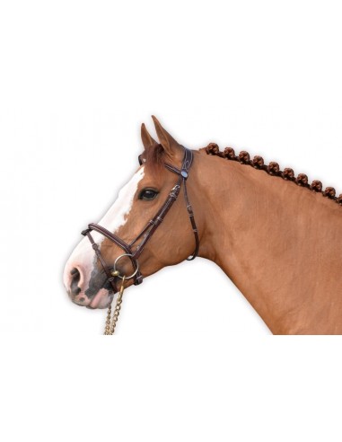 Bridon Tuesday Jump'In