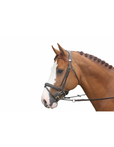 Bridon Wednesday Jump'In