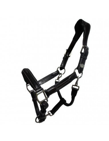 Licol WEEK WEDNESDAY Jump'in