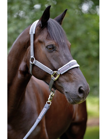 Licol SPIRIT Esperado