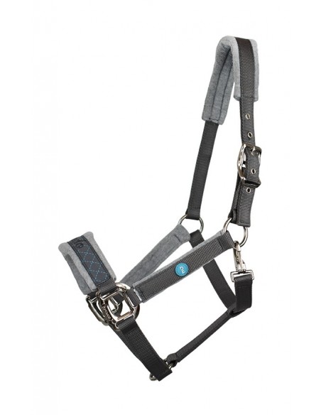 Licol SPIRIT Esperado