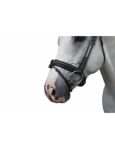 Bridon FRIDAY Jump'in