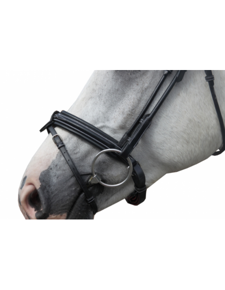 Bridon FRIDAY Jump'in