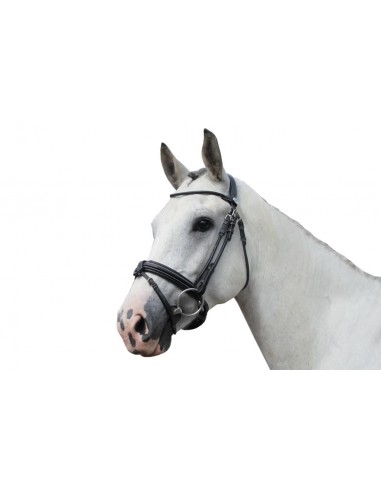 Bridon FRIDAY Jump'in