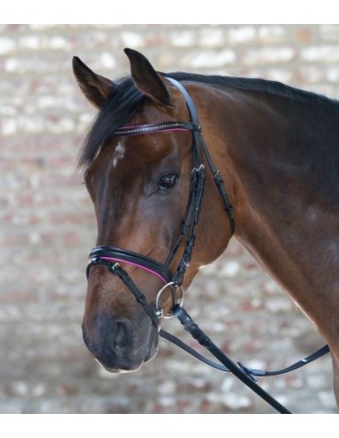 STAR Bridon Diamond Waldhausen