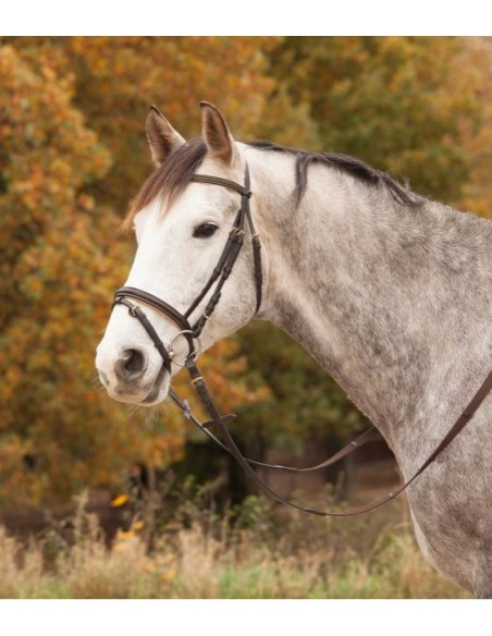 STAR Bridon Diamond Waldhausen