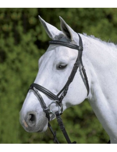 STAR Bridon Diamond Waldhausen