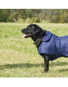 Manteau pour  chien TWEED Weatherbeeta coloris bleu