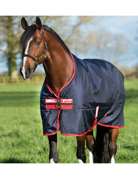 Chemise Original Rambo